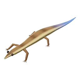 Lizard