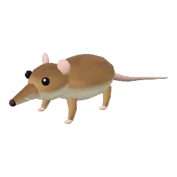 Shrew