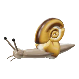 Snail
