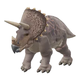 Triceratops